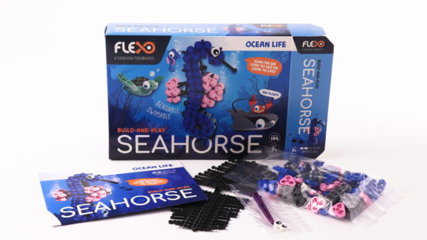 Seahorse - Image 4
