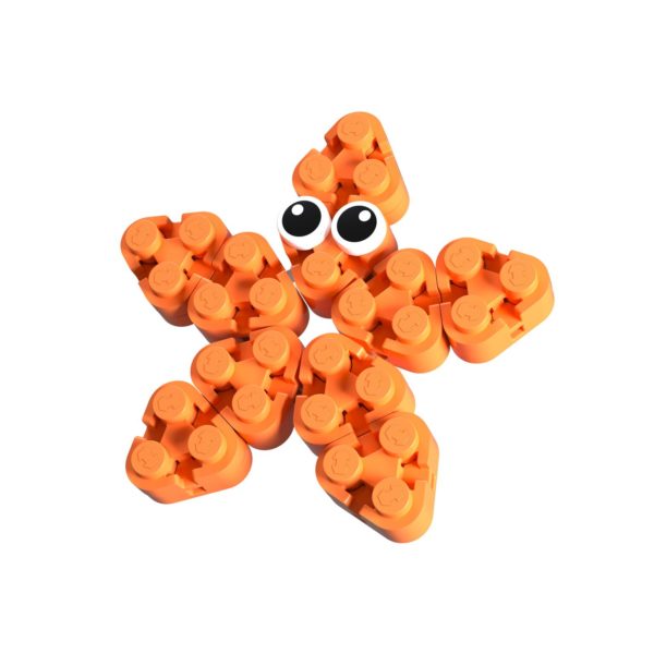 Starfish - Image 3