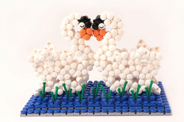 Flexo Love-Swans