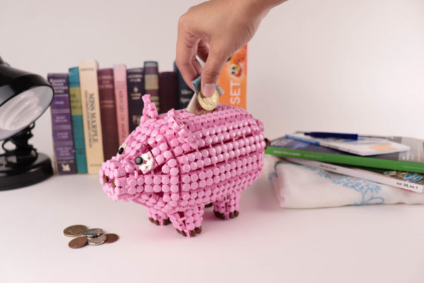 Flexo Piggy Bank - Image 2
