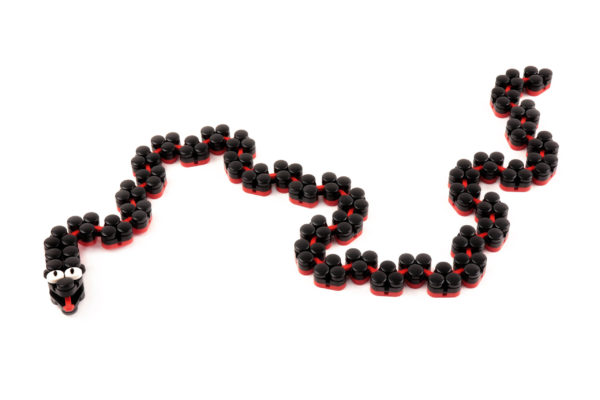 Flexo Snake - Image 3